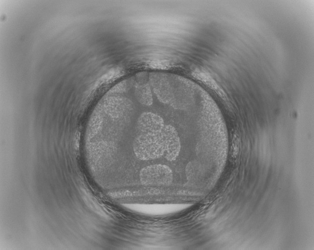 X0000088590639200706221342