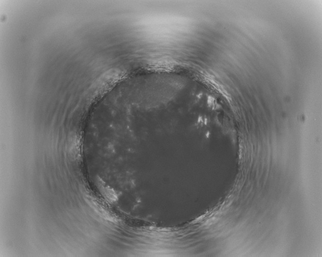 X0000088590641200706221342