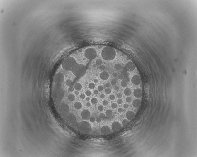 X0000088590642200706221342