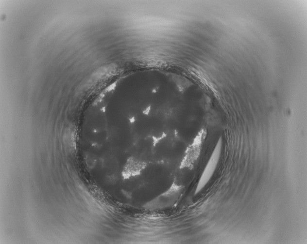 X0000088590643200706221342