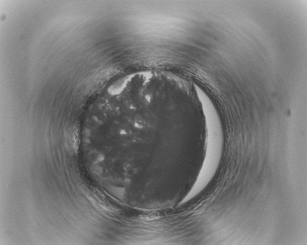 X0000088590644200706221342