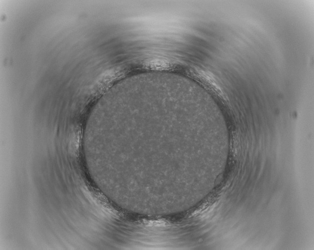 X0000088590645200706221342