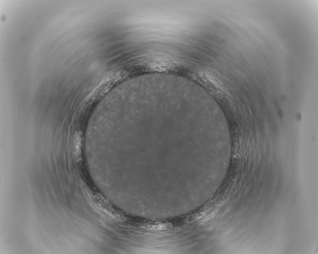 X0000088590646200706221342