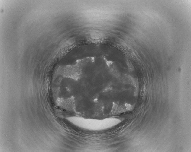 X0000088590647200706221342