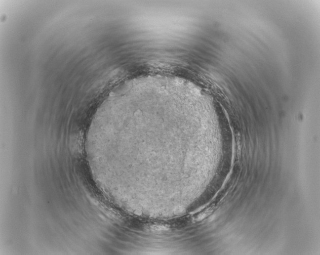 X0000088590649200706221342