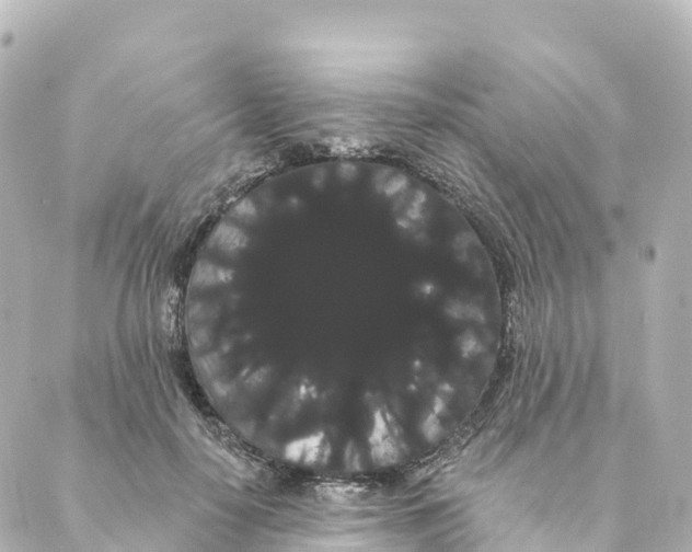 X0000088590650200706221342