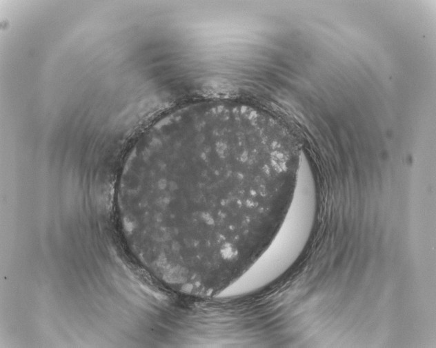 X0000088590652200706221342