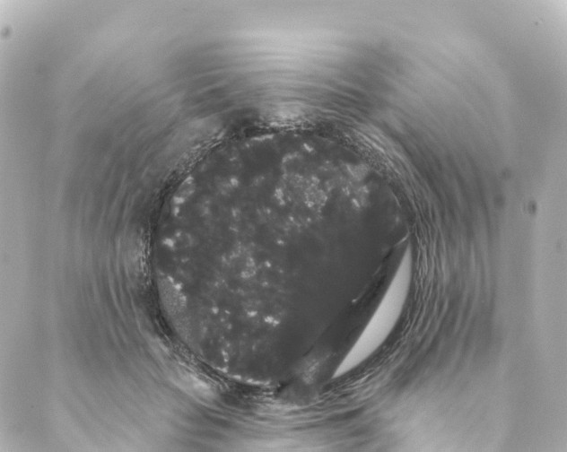 X0000088590653200706221342