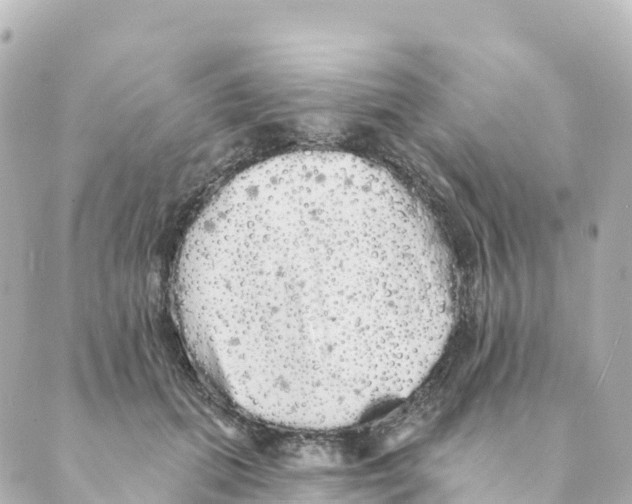 X0000088590655200706221342