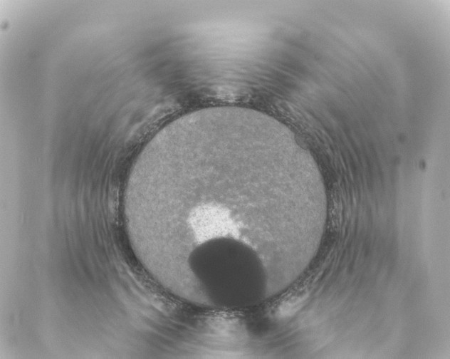 X0000088590656200706221342