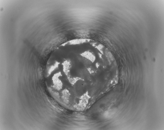 X0000088590658200706221342