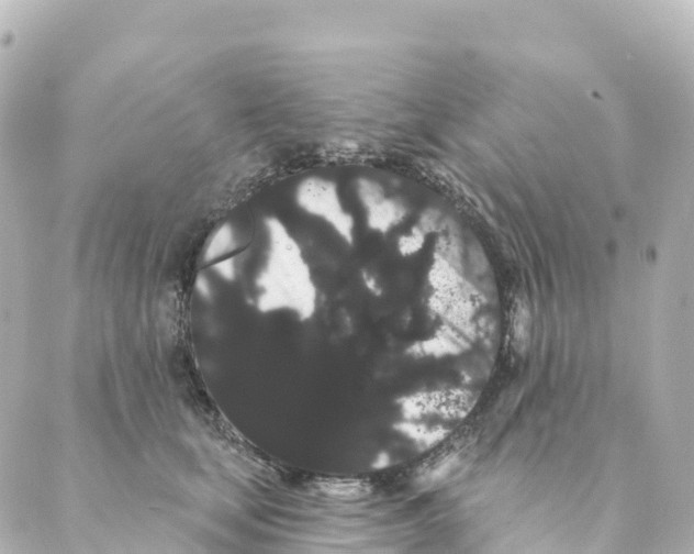 X0000088590659200706221342