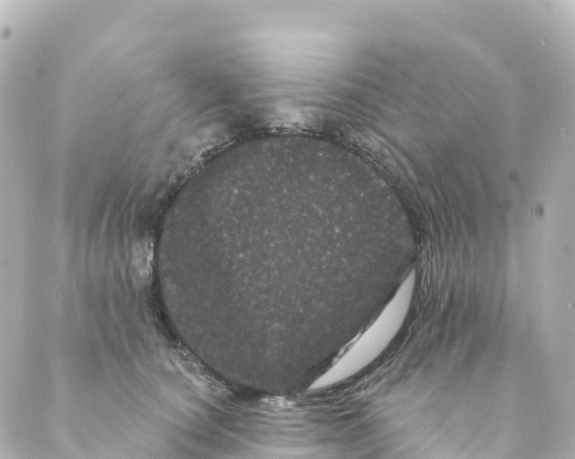 X0000088590660200706221342