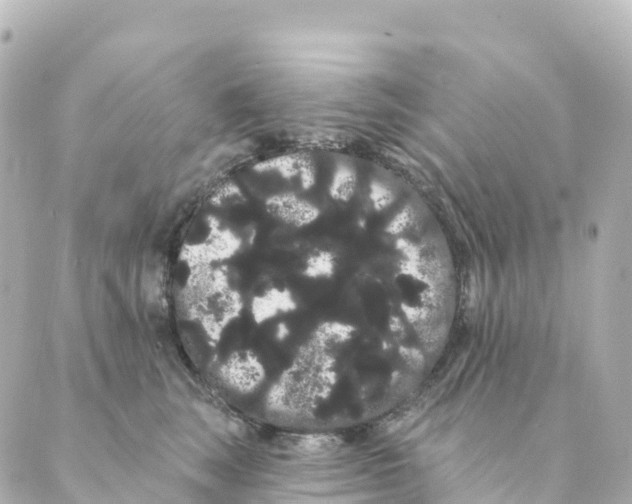 X0000088590663200706221342