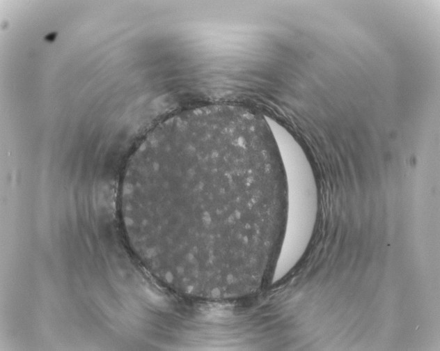 X0000088590664200706221342