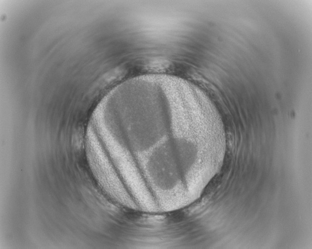 X0000088590665200706221342