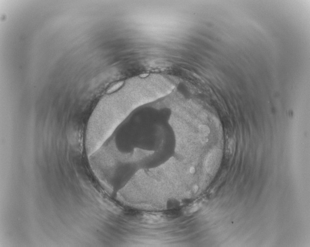 X0000088590666200706221342