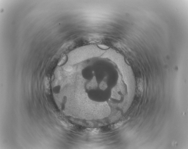 X0000088590667200706221342