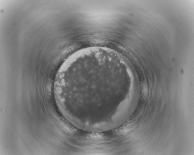 X0000088590668200706221342