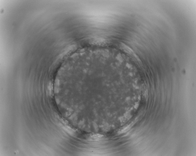 X0000088590669200706221342