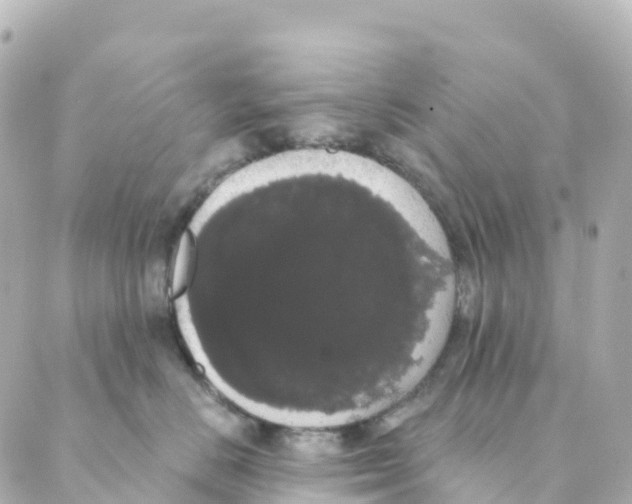 X0000088590670200706221342