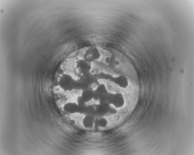 X0000088590671200706221342