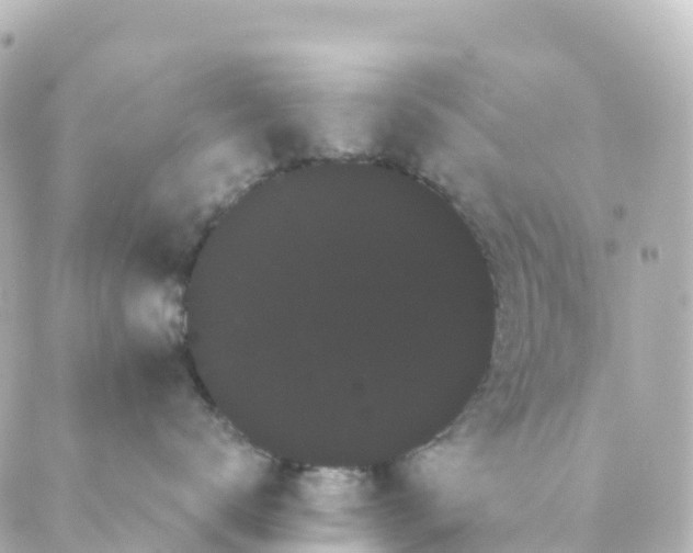 X0000088590672200706221342