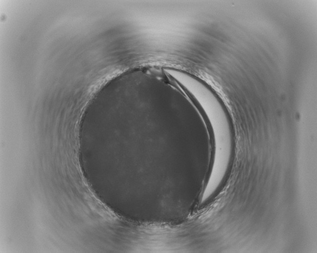 X0000088590673200706221342