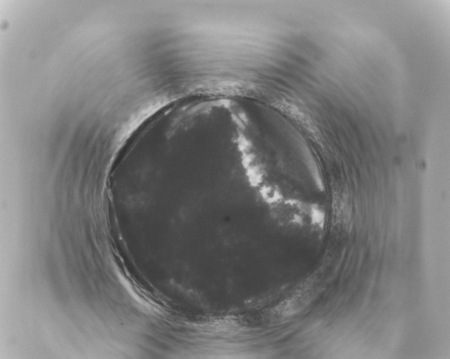 X0000088590674200706221342