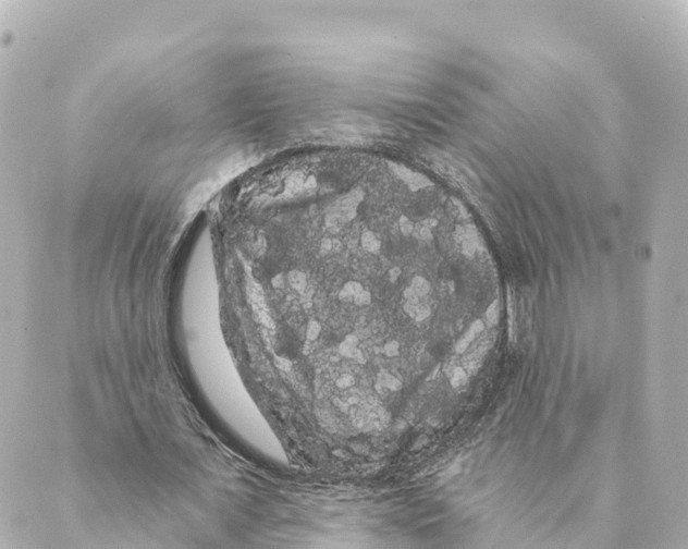 X0000088590675200706221342