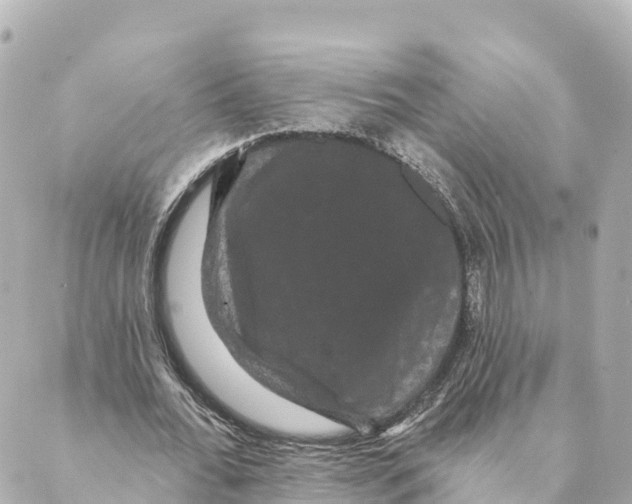 X0000088590676200706221342