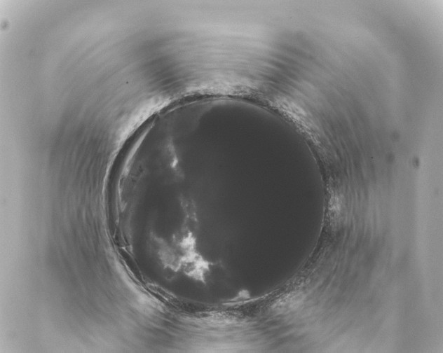 X0000088590678200706221341