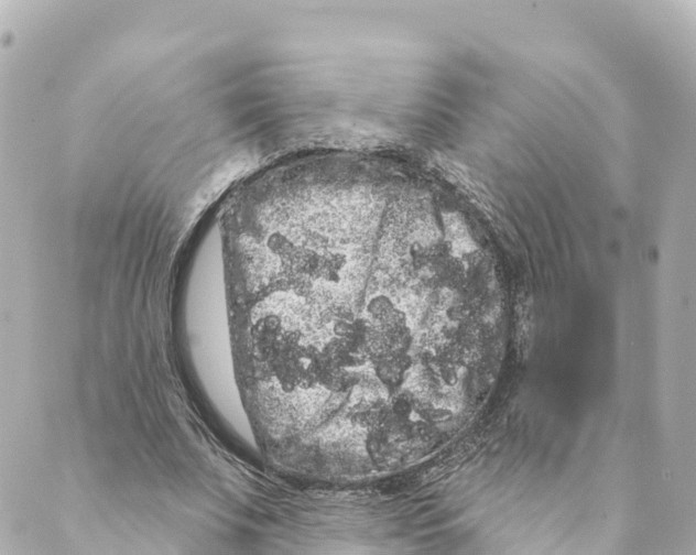 X0000088590679200706221341