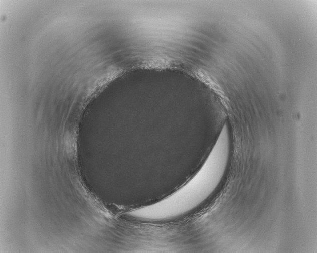 X0000088590681200706221341