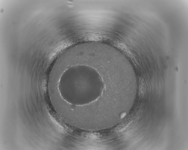 X0000088590683200706221341