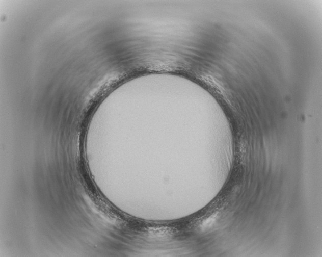 X0000088590686200706221341