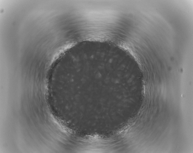 X0000088590688200706221341