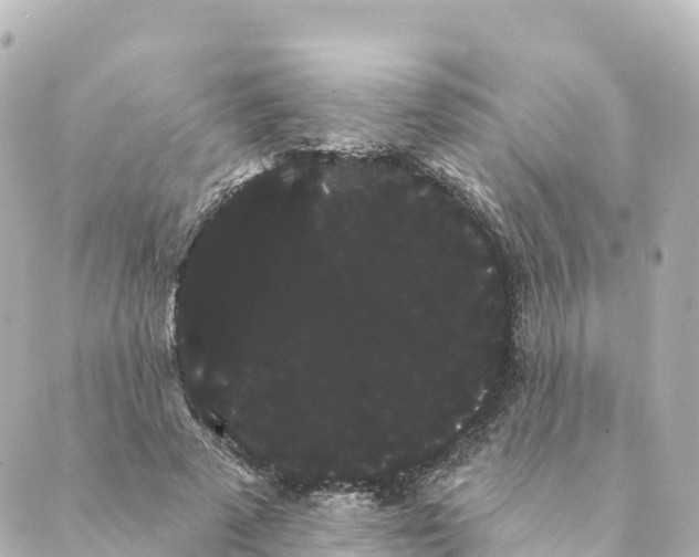 X0000088590689200706221341