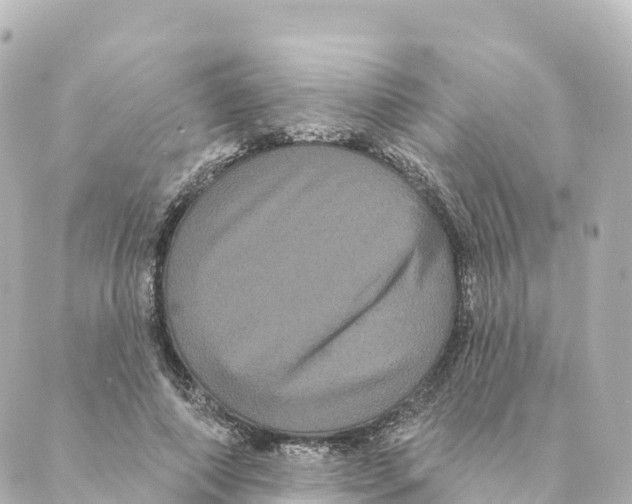 X0000088590690200706221341