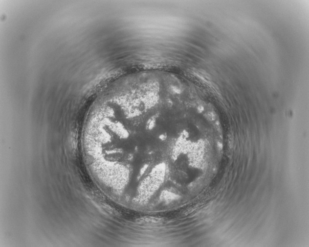 X0000088590691200706221341