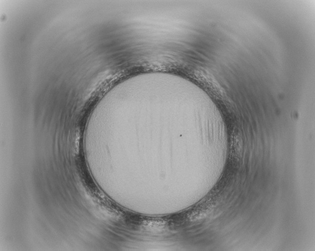 X0000088590694200706221341