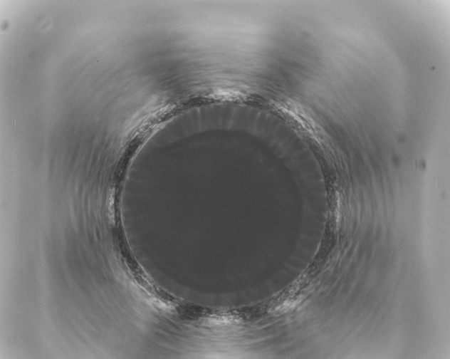 X0000088590696200706221341