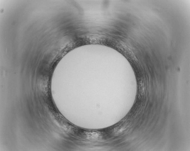 X0000088590698200706221341