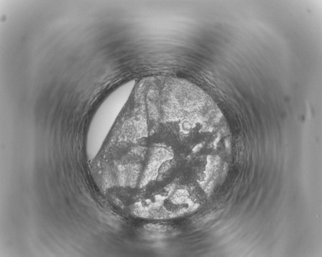 X0000088590699200706221341