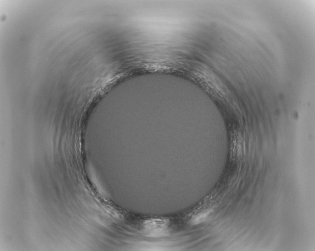 X0000088590700200706221341