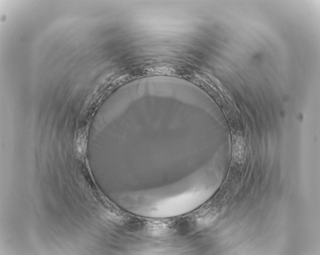 X0000088590701200706221341