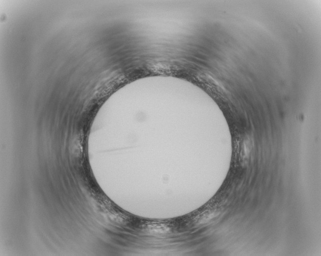 X0000088590702200706221341