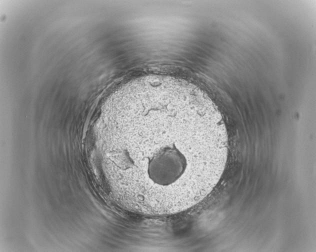 X0000088590703200706221341