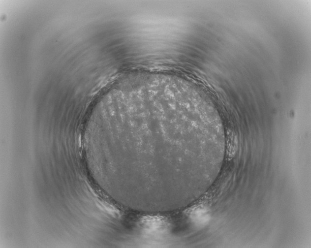 X0000088590704200706221341