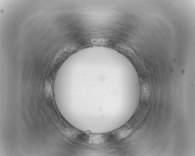 X0000088590705200706221341